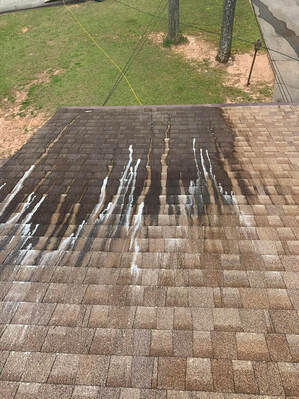 Roof Cleaning in Rock Hill, Sc